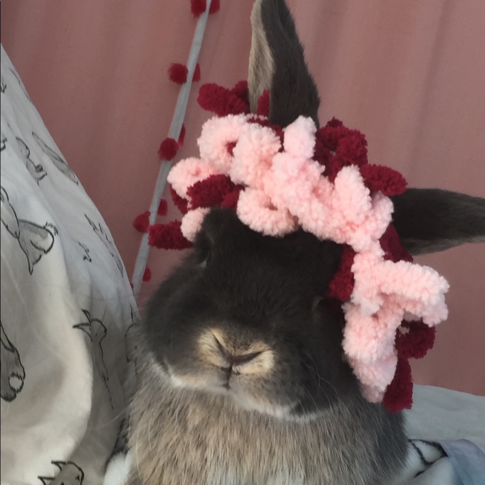 Meet your Posher, Eve